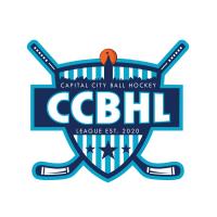 Capital City Ball Hockey League image 1